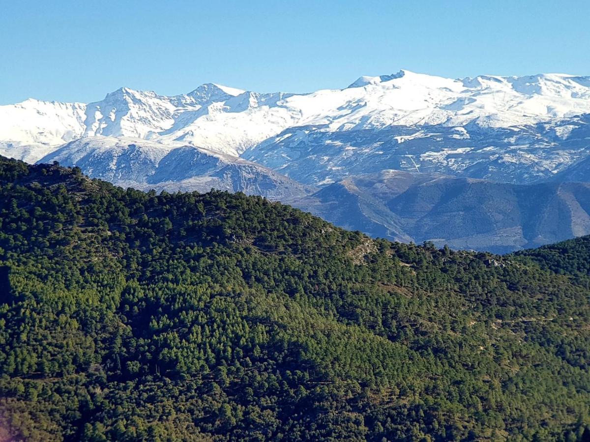 Rincon Del Genil Lägenhet Cenes De La Vega Exteriör bild